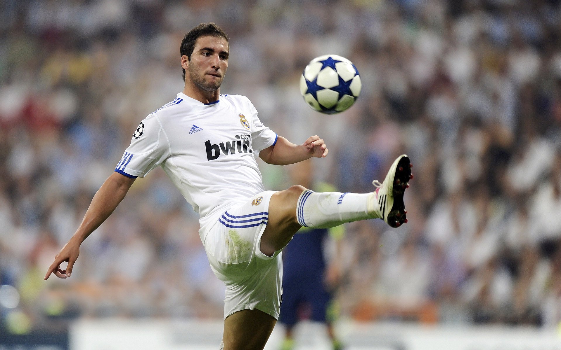 美洲杯明星纷纷亮相:精彩突破震撼全场!,美洲杯足球明星